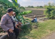Polsek Lengkong Dukung Ketahanan Pangan Lewat Pemantauan Lahan Persawahan Warga