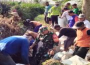 Gotong Royong Babinsa Sumberagung Dan Poktan Tirto Agung Bersihkan Saluran Air Untuk Kelancaran Irigasi