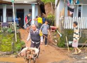 Sinergitas Polisi Bersama TNI dan BPBD Tangani Banjir dan Bersihkan Material Longsor di Kediri