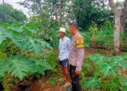 Bhabinkamtibmas Polsek Ngetos Dukung Ketahanan Pangan Lewat Pemanfaatan Lahan Pekarangan