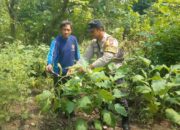 Polsek Nganjuk Kota Dukung Ketahanan Pangan Lewat Pemanfaatan Lahan Perkarangan