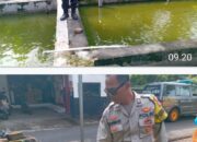 Polsek Pace Dukung Ketahanan Pangan Lewat Budidaya Lele dan Tanaman Cabai di Pekarangan Warga