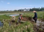 Tingkatkan Produktivitas Pertanian, Babinsa Desa Birowo Dampingi Petani Olah Lahan