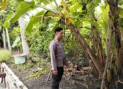 Optimalisasi Lahan Perkarangan, Polsek Prambon Dukung Ketahanan Pangan Warga