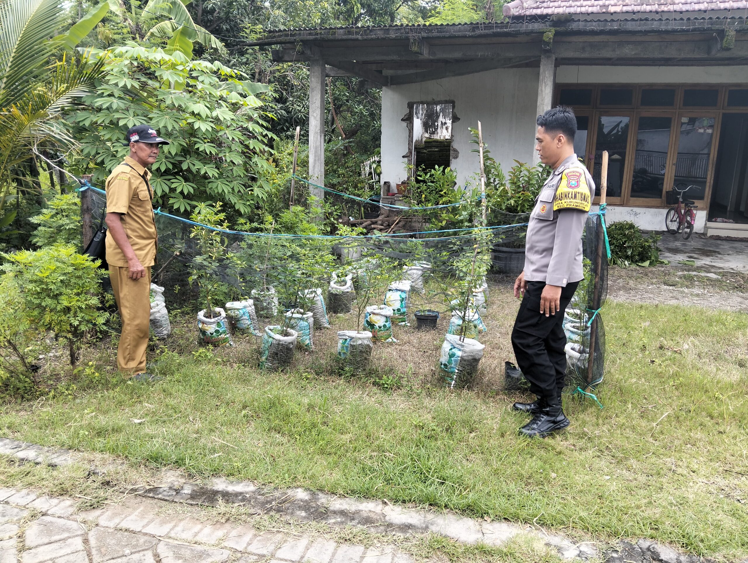 IMG 20250612 WA0123 scaled