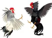 Luput dari Perhatian Ataukah Sengaja Di Biarkan,Ajang 303 Menggeliat Di Jember.