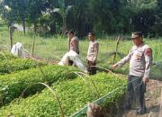 Polres Nganjuk Dukung Ketahanan Pangan Lewat Pemanfaatan Lahan Pekarangan di Desa Sonopatik