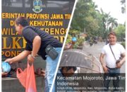 Aksi Berbagi Nasi di Kota Kediri: Sujinto dan Agus Sugianto Bagikan Makan Siang kepada Masyarakat Kurang Beruntung