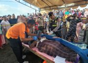 Tim SAR Gabungan Evakuasi 27 Penumpang Korban KMP Tunu Pratama Jaya  Tenggelam Di Perairan Selat Bali