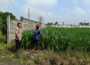 Program Ketahanan Pangan Polsek Kertosono Bangkitkan Lahan Tak Tergarap