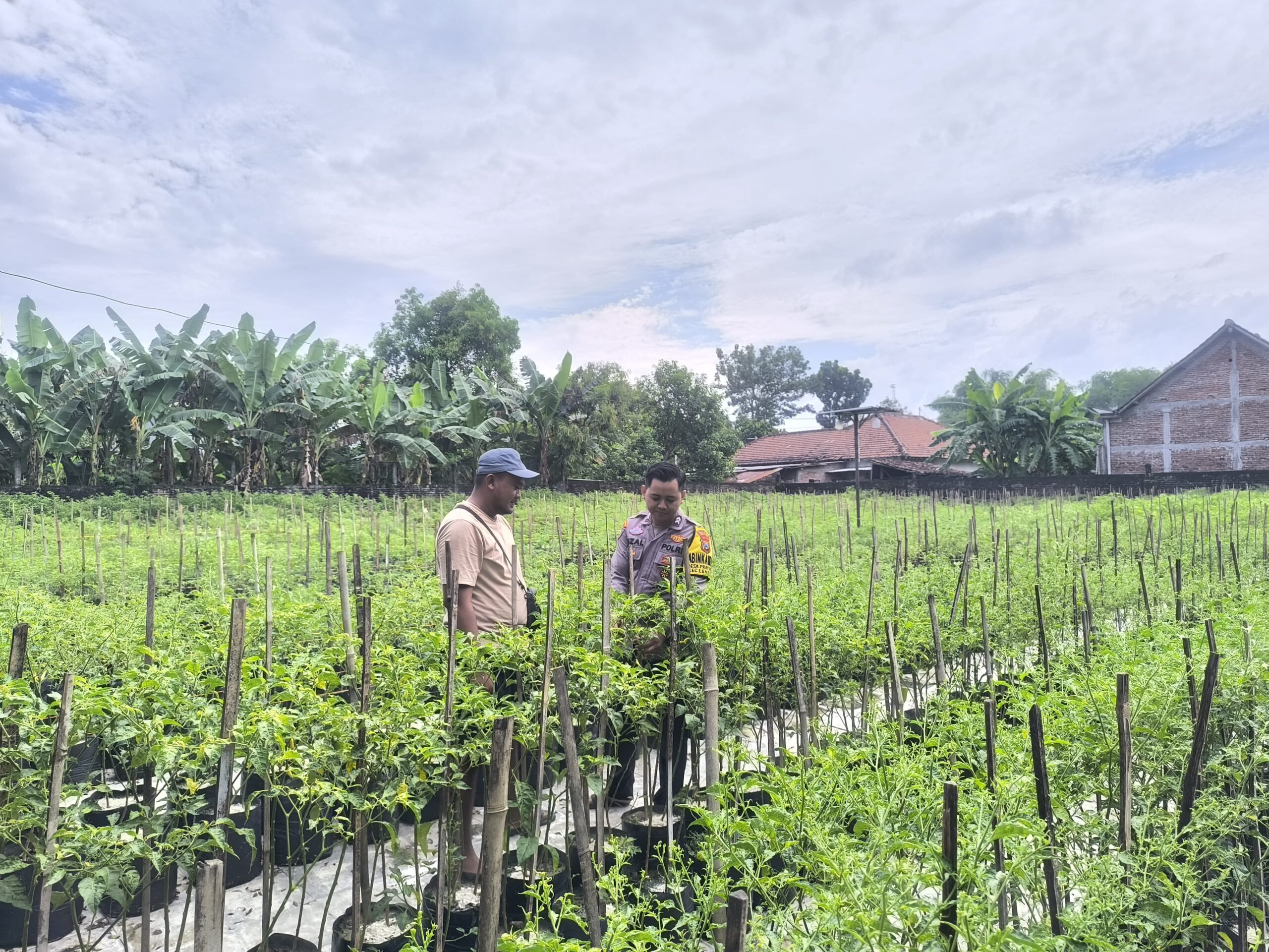 IMG 20250714 WA0205 scaled