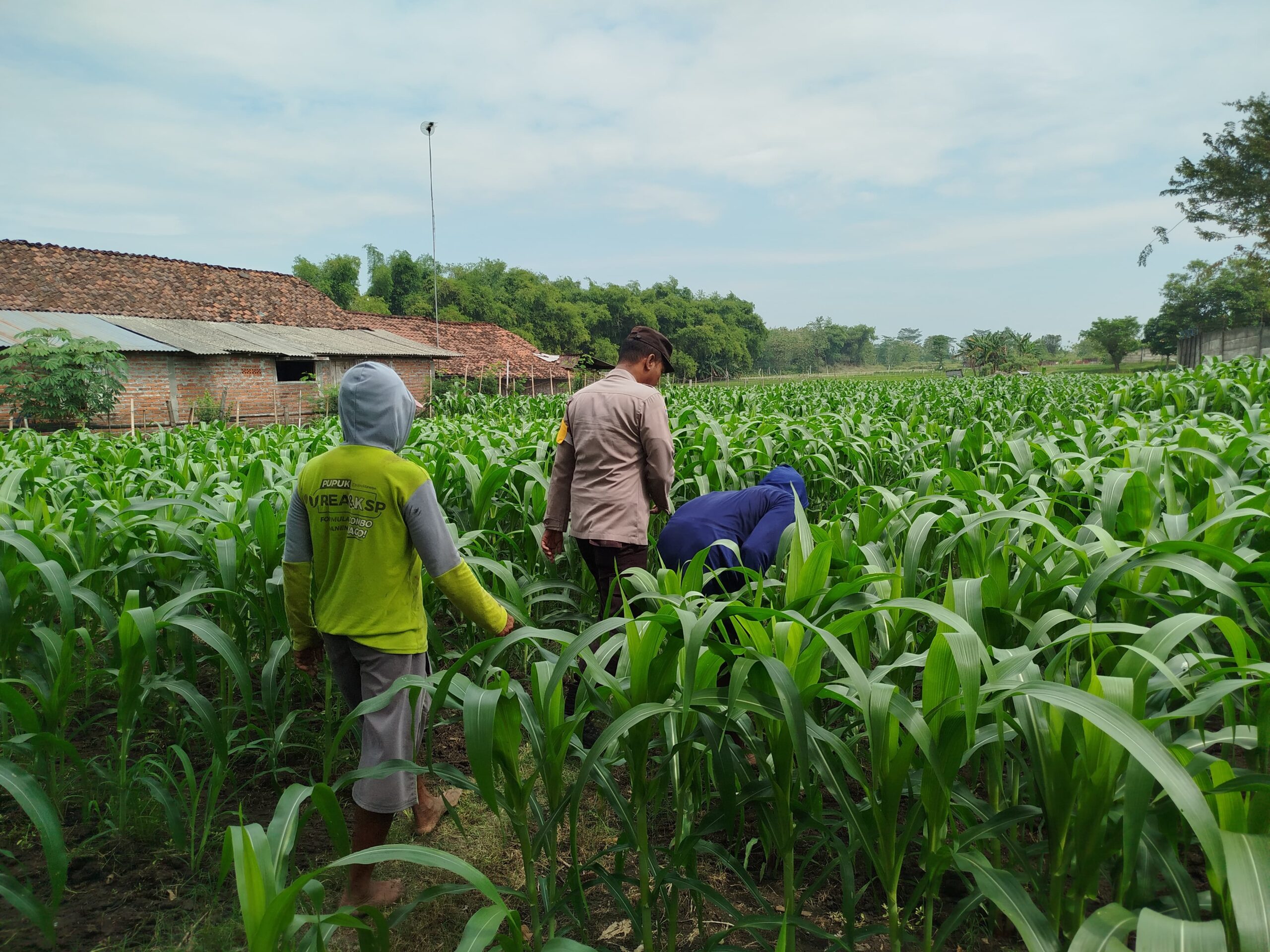 IMG 20250716 WA0025 scaled