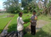 Polsek Ngronggot Serahkan Bibit Padi untuk Dukung Ketahanan Pangan Warga