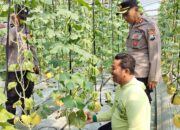 Budidaya Melon ala Green House Jadi Inspirasi, Kapolsek Warujayeng Beri Dukungan