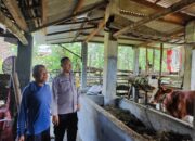Bhabinkamtibmas Nglawak Pantau Peternakan Warga, Dukung Program Ketahanan Pangan