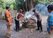 Tindaklanjuti Laporan Warga Polisi Bongkar Arena Sabung Ayam di Sidoarjo