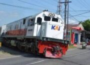 Pria Asal Trenggalek Tewas, Diduga Sengaja Menabrakkan Diri Ke Kereta Api.