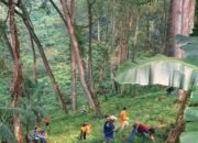 65 Potongan Tubuh Manusia ditemukan Di Mojokerto, Polisi Selidiki Kasus Ini.