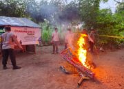 Polsek Ngadiluwih Polres Kediri Bubarkan Arena Judi Sabung Ayam di Desa Banjarejo