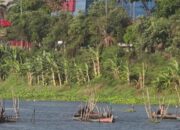 Penambangan Pasir Ilegal di Di Sungai Brantas Kediri Kembali Marak,Luput Pantauan APH & Penegak Perda Kota Kediri.