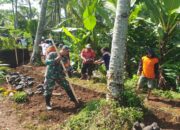 Babinsa Tegalasri Gotong Royong Bangun Tanggul Dan Drainase Bersama Warga