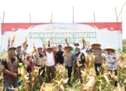 Swasembada Pangan, Kapolres Kediri Ikuti Panen Raya Jagung Kuartal III di Ngasem