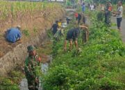 Aksi Nyata, Anggota Koramil 0808/04 Sanankulon Dan Warga Sigap Bersihkan Saluran Irigasi