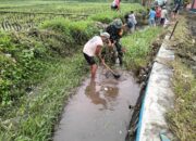 Babinsa Koramil 0808/20 Sananwetan Bersama Kelompok Tani Laksanakan Pembersihan Irigasi