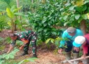 Dukung Penghijauan, Babinsa Garum Bersama Gapoktan Dan Warga Tanam Pohon Mahoni