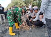 Dukung Pariwisata Lokal, Koramil 0808/17 Panggungrejo Berkontribusi Melalui Aksi Bersih-bersih Pantai Serang