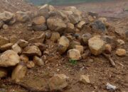 Ancaman Banjir & Longsor Banyakan: IJS Soroti Kerusakan Hutan Akibat Komersialisasi.