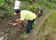 Jaga Kelancaran Pasokan Air, Babinsa Plandirejo Dan Warga Turun Tangan Bersihkan Irigasi