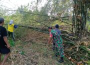Babinsa Kelurahan Bence Ajak Warga Bersihkan Ranting Bambu Yang Menutupi Akses Jalan Persawahan