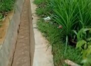 Warga Dusun Joho, Desa Joho Kec Semen Resah Dengan Saluran Dreinase Menyempit, Sehingga Air Meluap Dan Mengancam Struktur Rumah Warga.