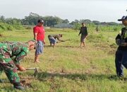 Peduli Lingkungan Sertu M. Ayub Bersama Warga Tlumpu Laksanakan Penghijauan Tanam Pohon Akasia