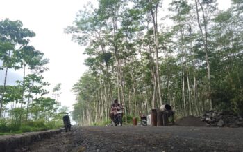 TMMD ke-127 Kodim 0809/Kediri Bangun Jalan Tembus 1,657 Meter, Progres 60 Persen 11 TMMD ke-127 Kodim 0809/Kediri Bangun Jalan Tembus 1,657 Meter, Progres 60 Persen