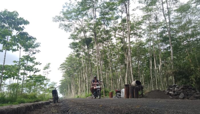 TMMD ke-127 Kodim 0809/Kediri Bangun Jalan Tembus 1,657 Meter, Progres 60 Persen