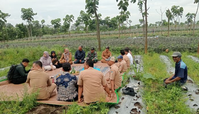 Akselerasi Ekonomi Lokal: Warga Sempu Optimistis Sambut Kehadiran KDKMP