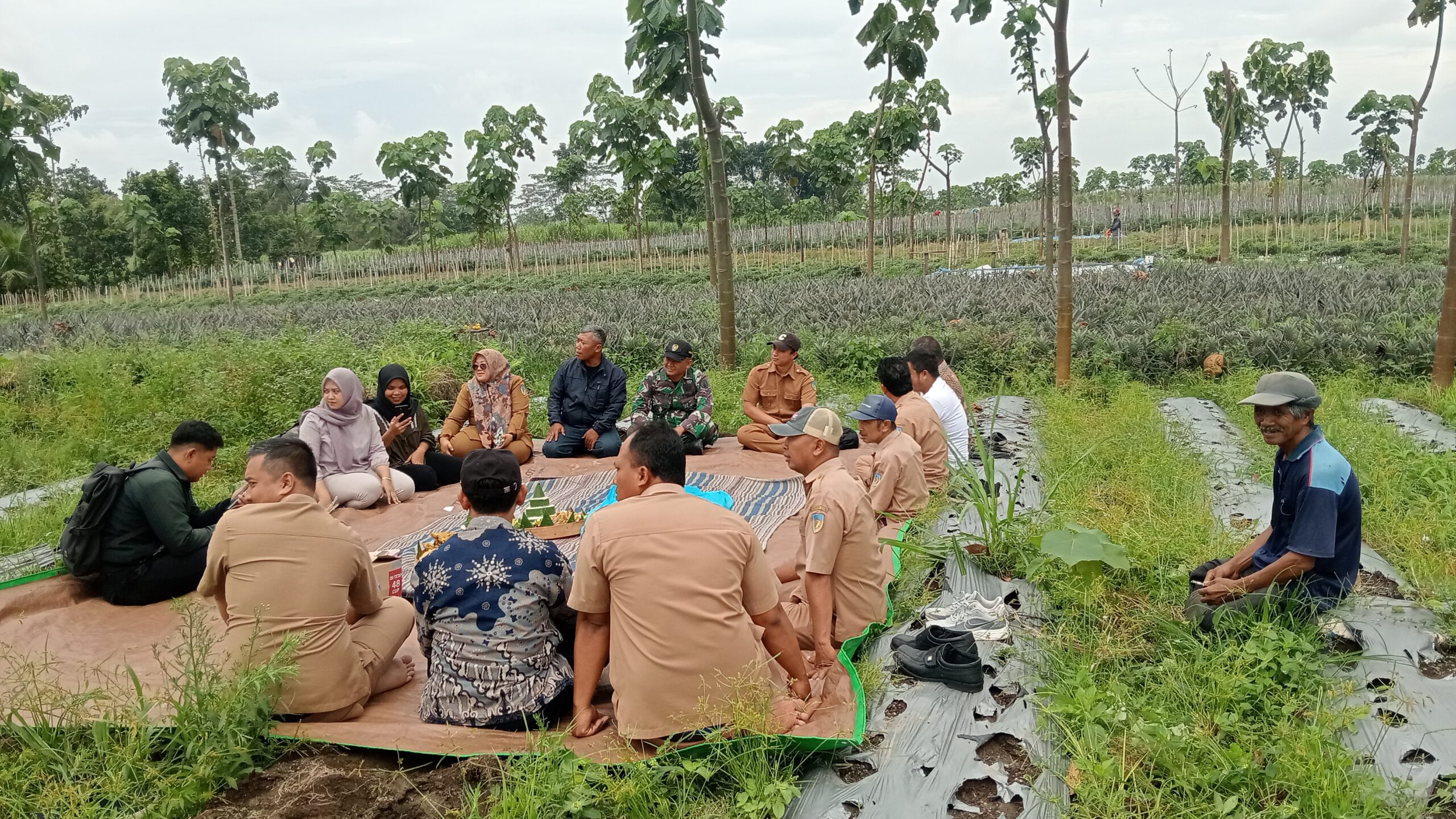 IMG20260210094514 scaled