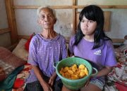 FB IMG 1773734069815