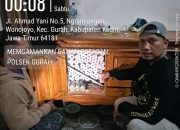 IMG 20260307 WA0003 1