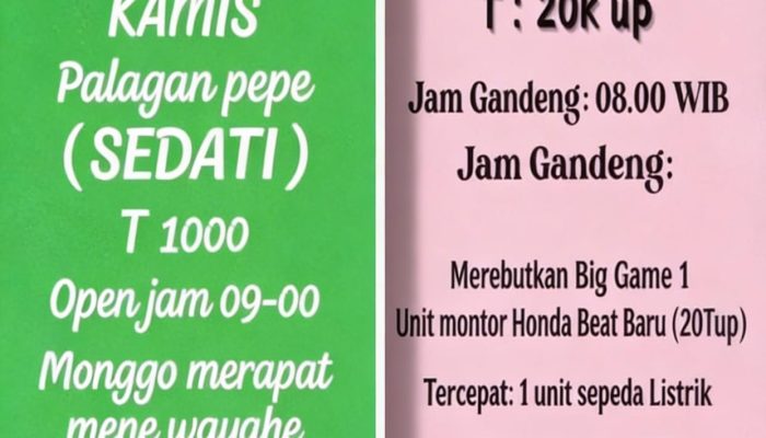 Di Sedati Sidoarjo, Jadwal Sabung Ayam Sudah Seperti Jadwal Bioskop.