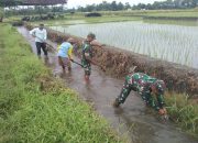 Sinergi Babinsa Dan Masyarakat Desa Pojok Bersihkan Irigasi Demi Pertanian Lancar