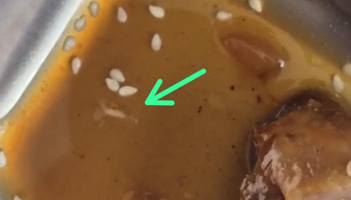 Diduga Ada Belatung dalam Menu MBG, LSM Gerak Indonesia Soroti Kualitas Program.