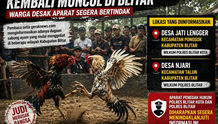 Diduga Aktivitas Sabung Ayam Kembali Muncul di Blitar, Warga Minta Aparat Bertindak
