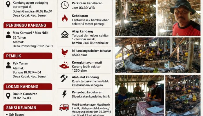 Diduga Konsleting Listrik, Kandang Ayam di Desa Kedak Semen Terbakar, Ribuan Ekor Ayam Mati
