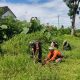 Kepedulian Lingkungan, Babinsa Kedung Banteng Ajak Warga Lestarikan Alam