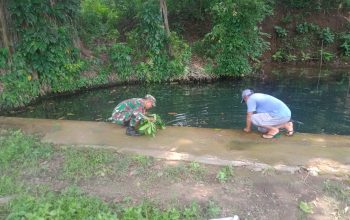 IMG 20260512 WA0058