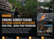 IMG 20260512 WA0129