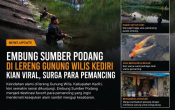 IMG 20260512 WA0129
